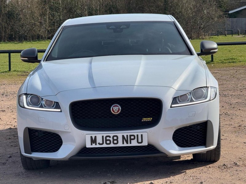 JAGUAR