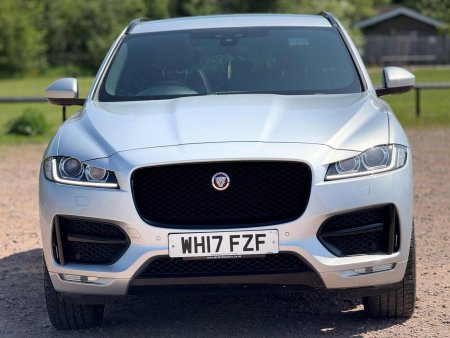 JAGUAR
